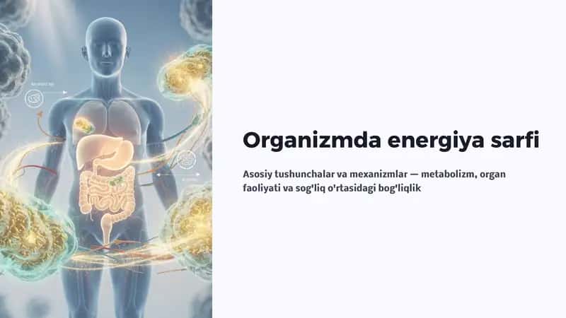 Organizmda energiya sarfi 1