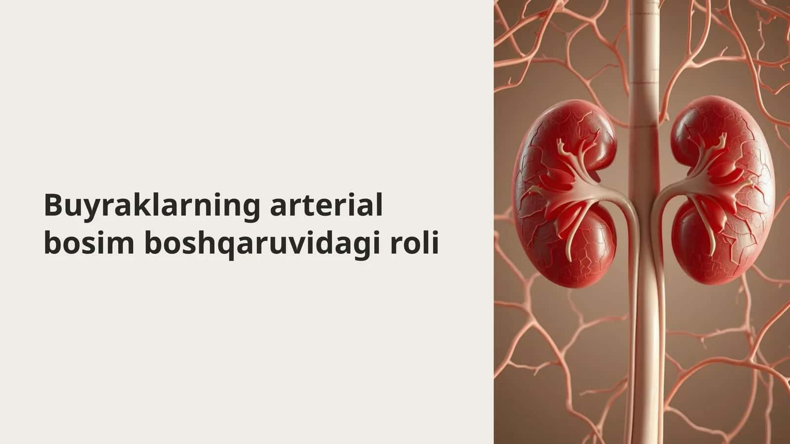 Buyraklarning arterial bosim boshqaruvidagi roli 1