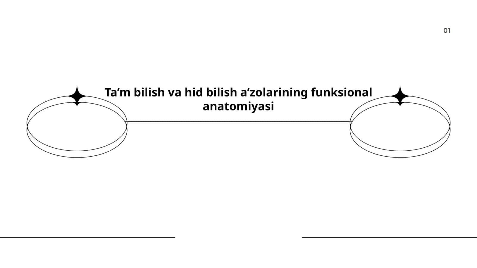 Ta’m bilish va hid bilish a’zolarining funksional anatomiyasi 1