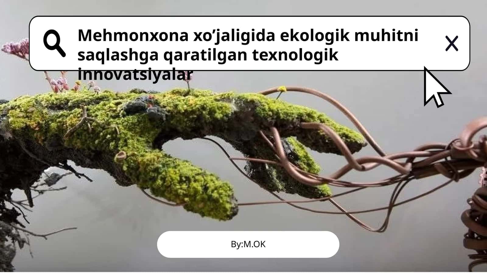 Mehmonxona xo’jaligida ekologik muhitni saqlashga qaratilgan texnologik innovatsiyalar 1