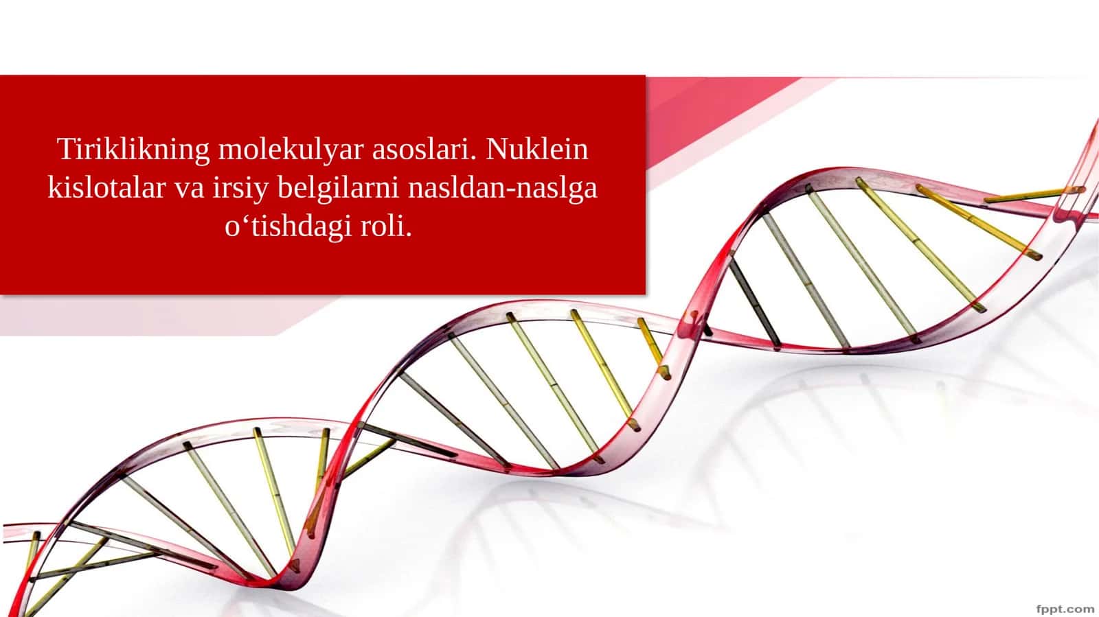 Nuklein kislotalar va irsiy belgilarni nasldan-naslga o' tishdagi roli 1