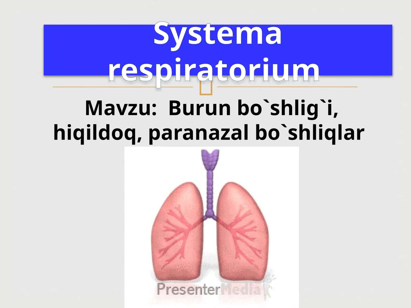 Burunbo`shlig`i,hiqildoq,paranazalbo`shliqlar 1