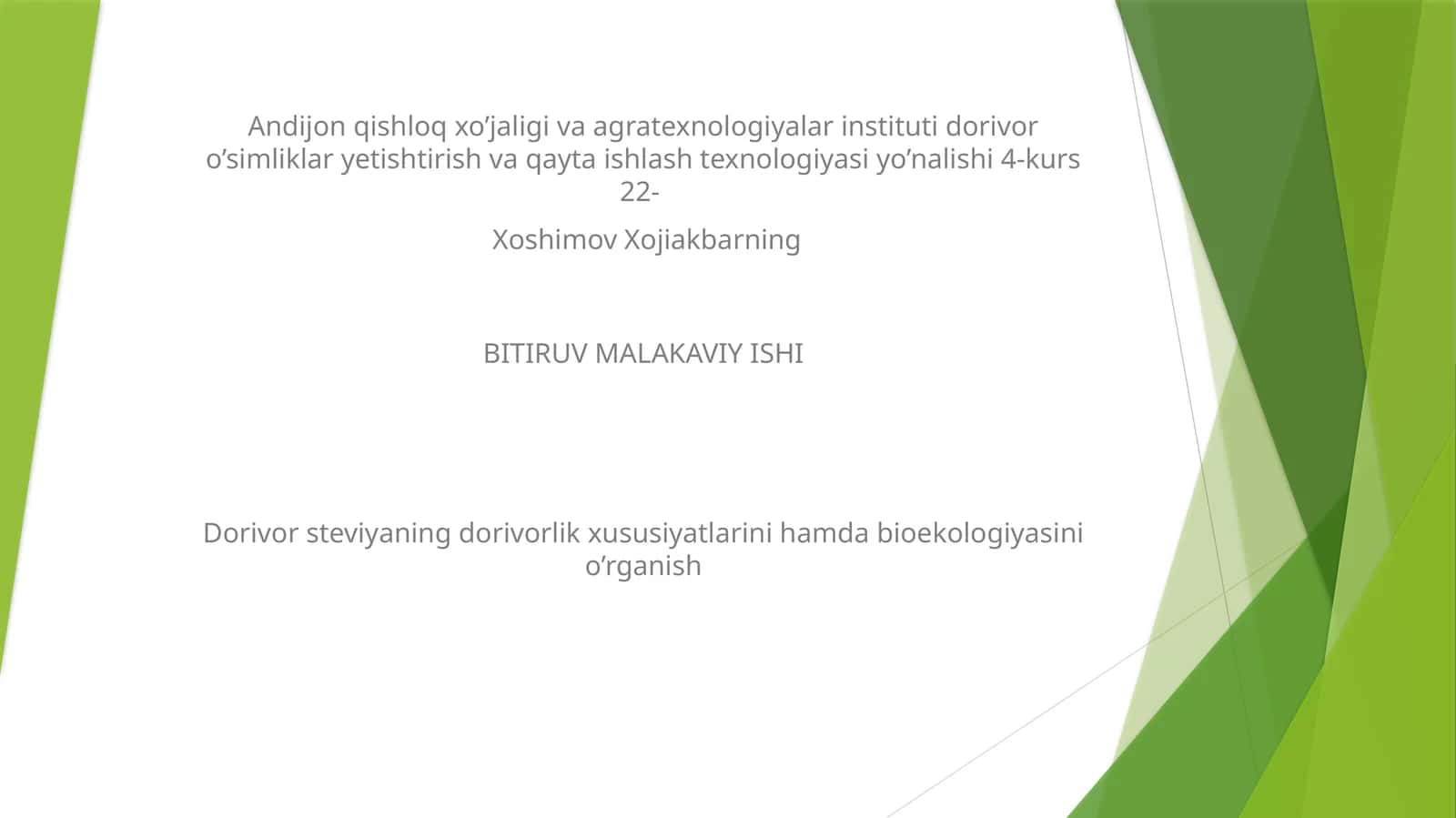 Steviya O'simligi 1