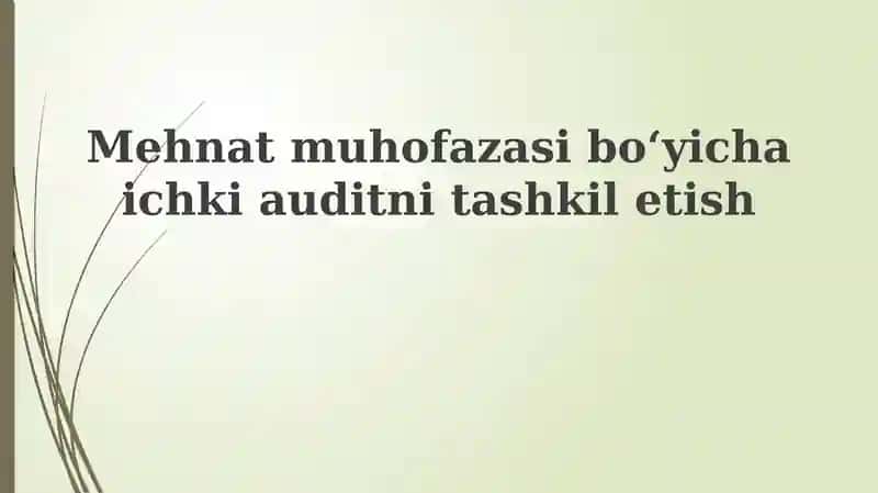 Mehnat muhofazasi boʻyicha ichki audit tashkiliyotish