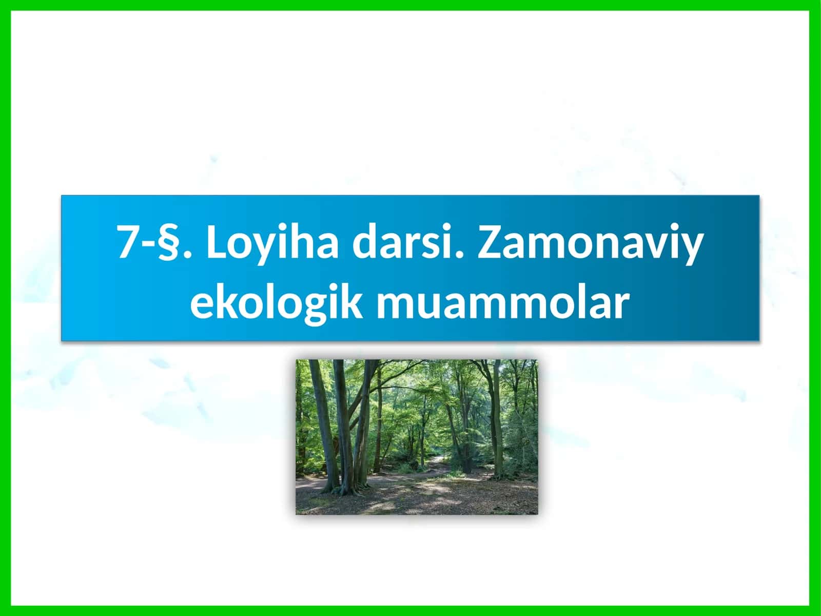 Loyihadarsi. Zamonaviy ekologik muammolar 1