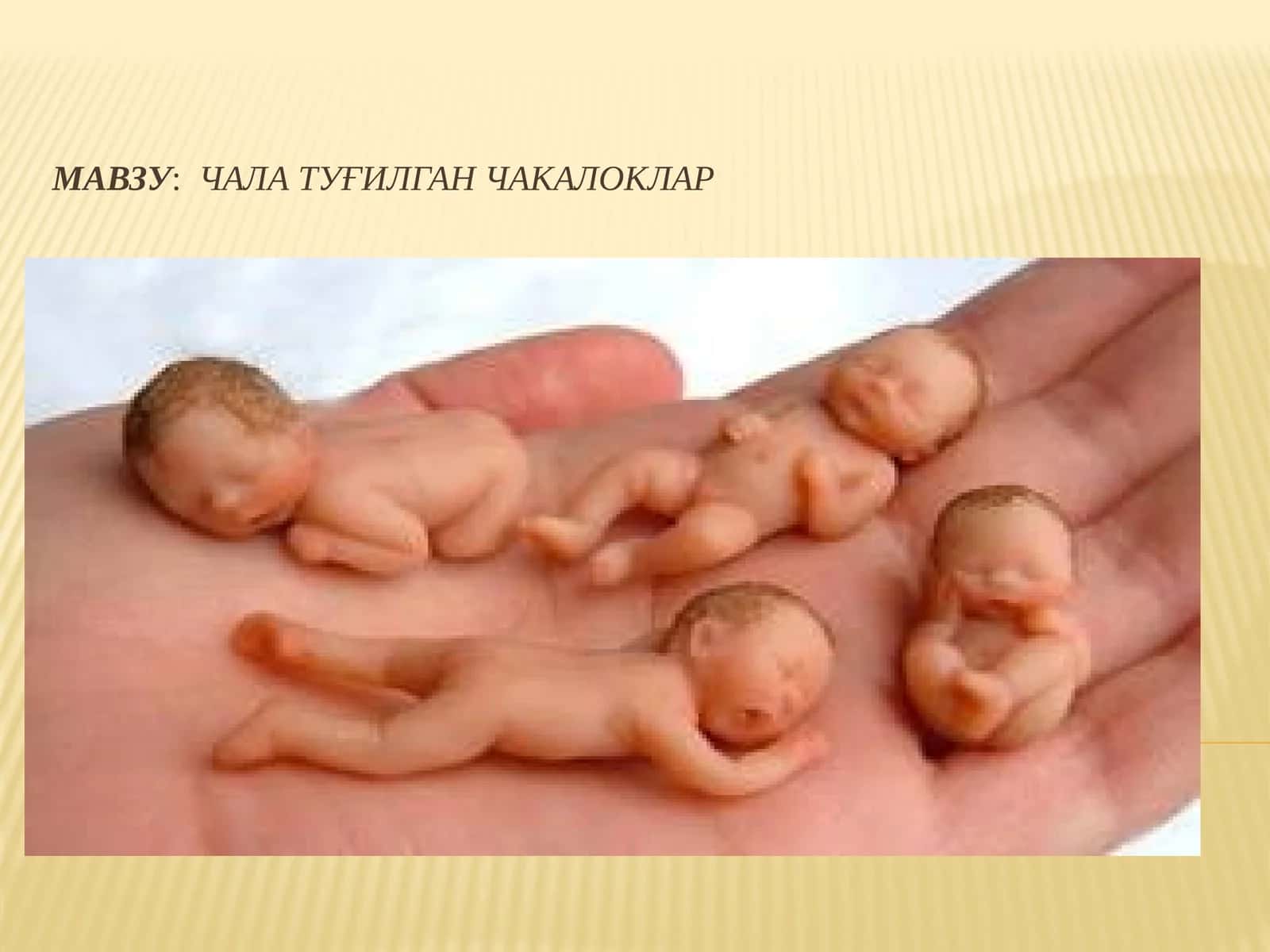 Чалатуғилганчакалоклар 1