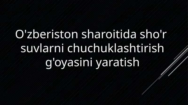 O'zberiston sharoitida sho'r suvlarini chuchuklashtirish go'yasini yaratish 1