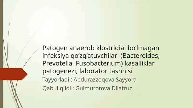 Patogenanerobklostridial bo’lmagan infeksiya qo’zg’atuvchilari kasalliklar patogenezi 1
