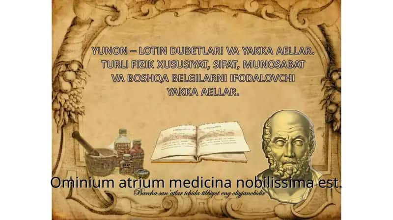 YUNON – LOTIN DUBETLARI VA YAKKA AELLAR. TURLI FIZIK XUSUSIYAT, SIFAT, MUNOSABAT VA BOSHQA BELGILARNI IFODALOVCHI YAKKA AELLAR. 1