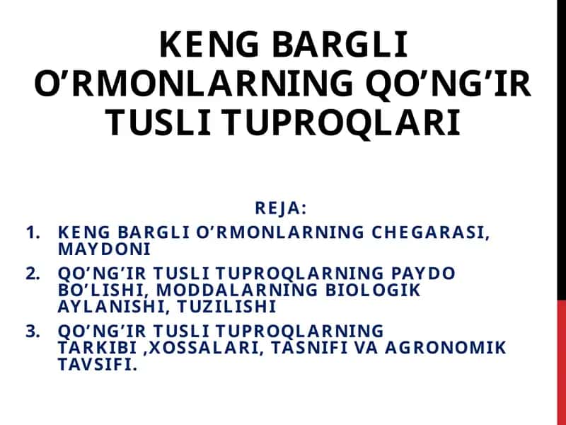 KENG BARGLI O’RMONLARNING QO’NG’IRTUSLITUPROQLARI 1