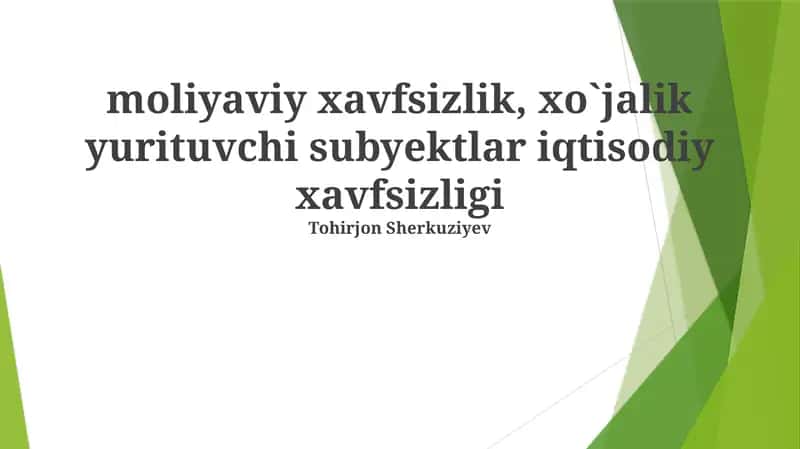 Moliyaviy Xavfsizlikning Asosiy Omillari 1