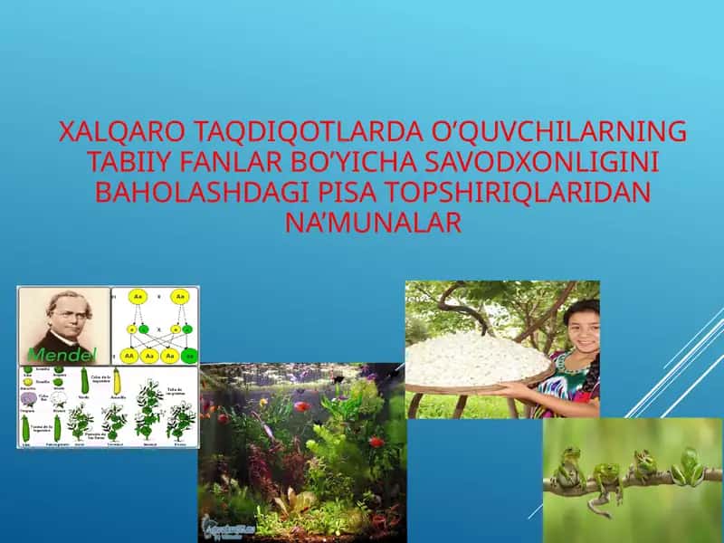 Mendel tadqiqotlari 1