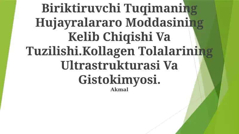 Biriktiruvchi Tuqimaning Hujayralararo Moddasining Kelib Chiqishi Va Tuzilishi 1