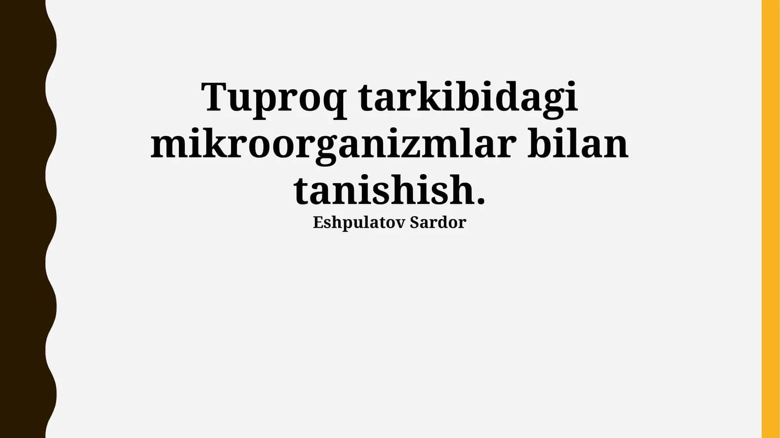 Tuproq Mikroorganizmlari 1