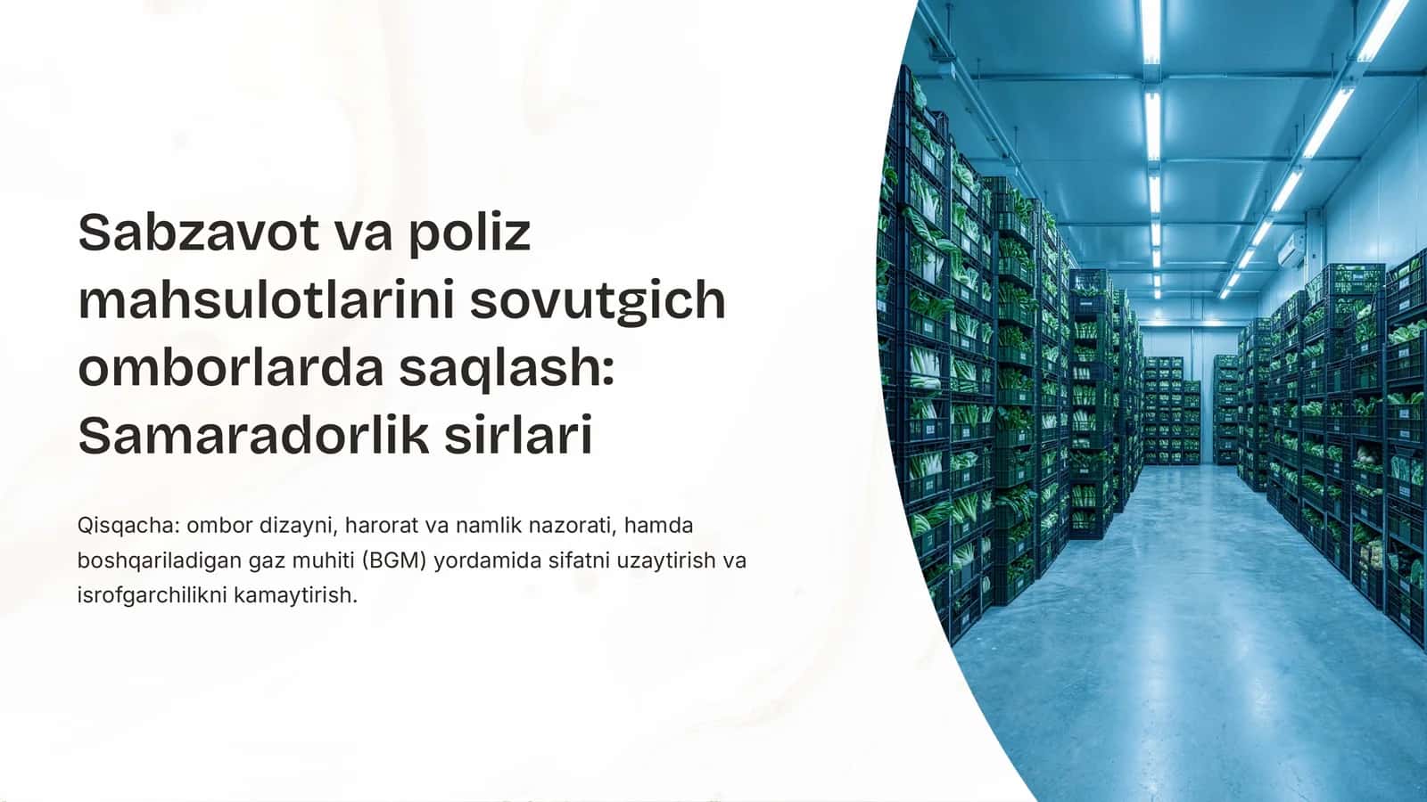 Sabzavot va poliz mahsulotlarini sovutgich omborlarda saqlash: Samaradorlik sirlari 1