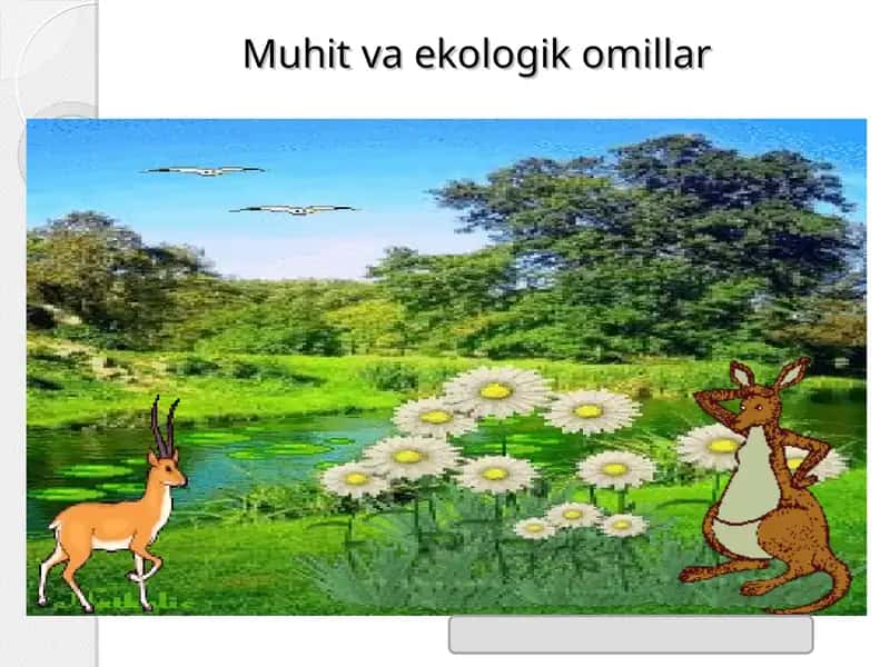 Muhit va ekologik omillar 1