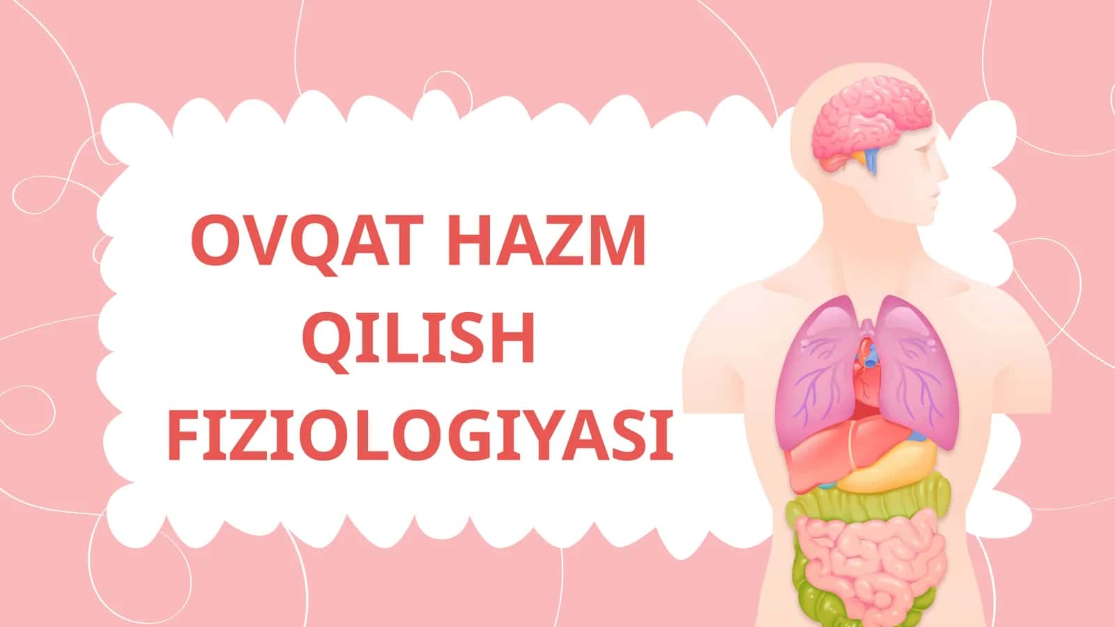 OVQAT HAZM QILISH FIZIOLOGIYASI 1