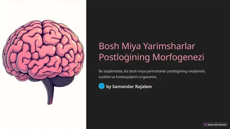 Bosh Miya Yarimsharlar Postloġining Morfogenezi 1