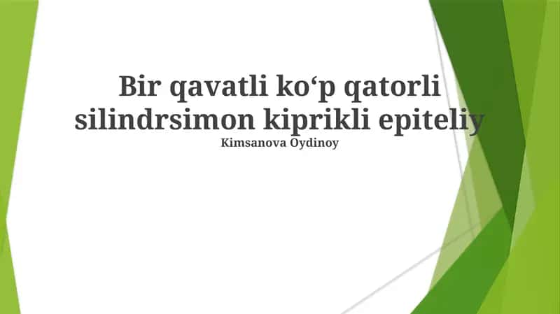 Bir qavatli ko‘p qatorli silindrsimon kiprikli epiteliy 1