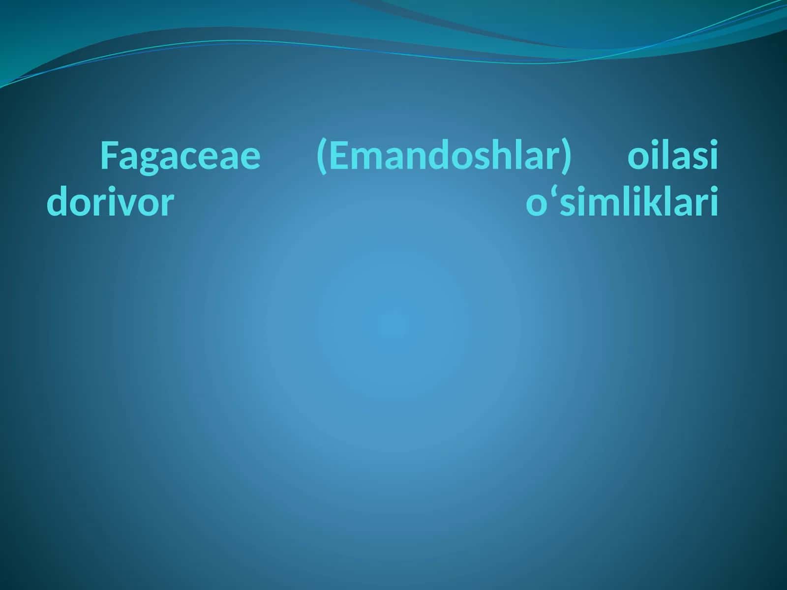 Emandoshlar oilasi dorivor oʻsimliklari 1