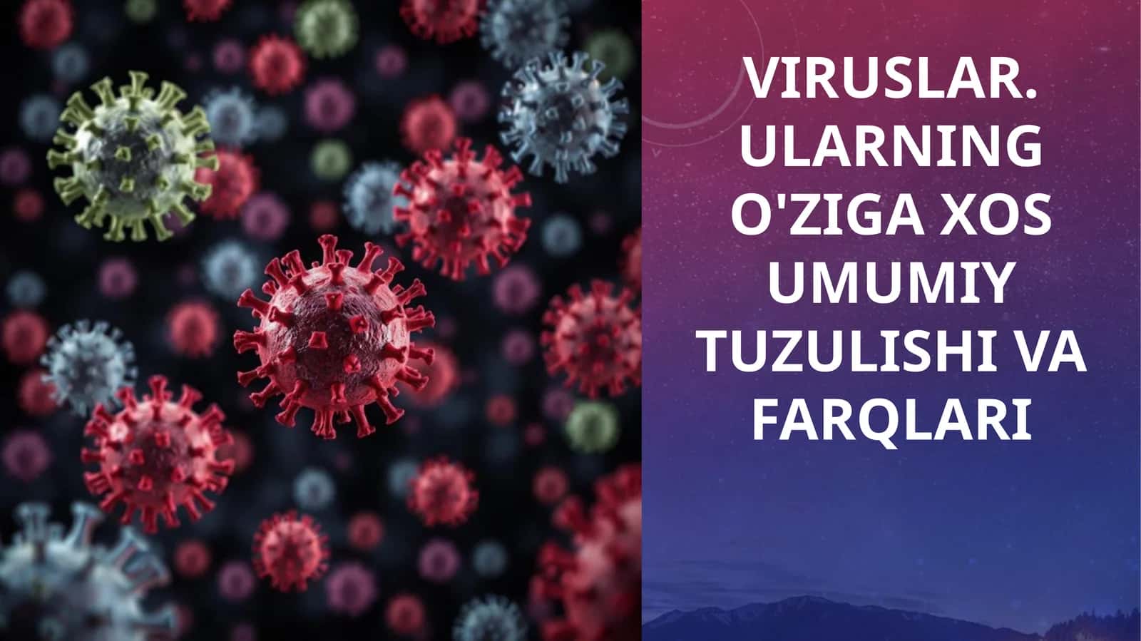 Viruslar. Ularning o'ziga xos umumiy tuzilishi va farqlari 1