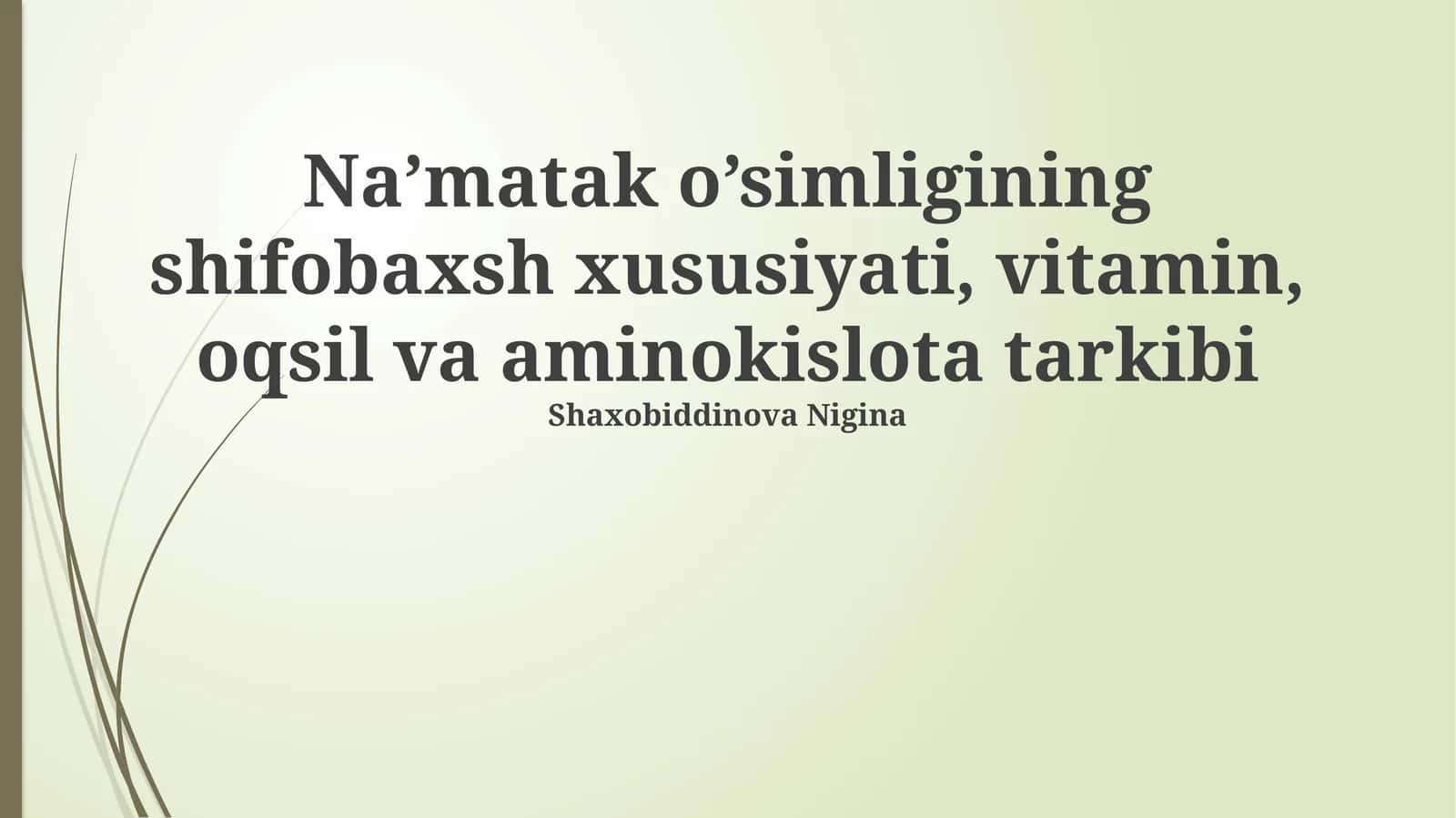 Na’Matak Oʻsimligining Shifobaxsh Xususiyati 1