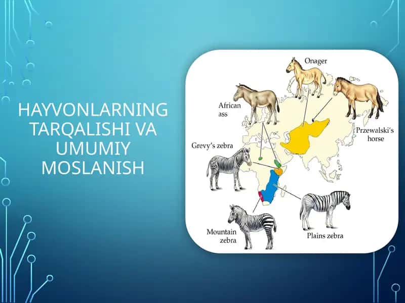 Hayvonlarning tarqalishi va umumiy moslanish 1