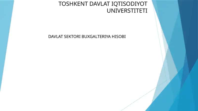 Davlat budjeti va davlat maqsadli jamg'armalari budjetlari xarajatlari ijrosi hisobining maqsadi va vazifalariri 1