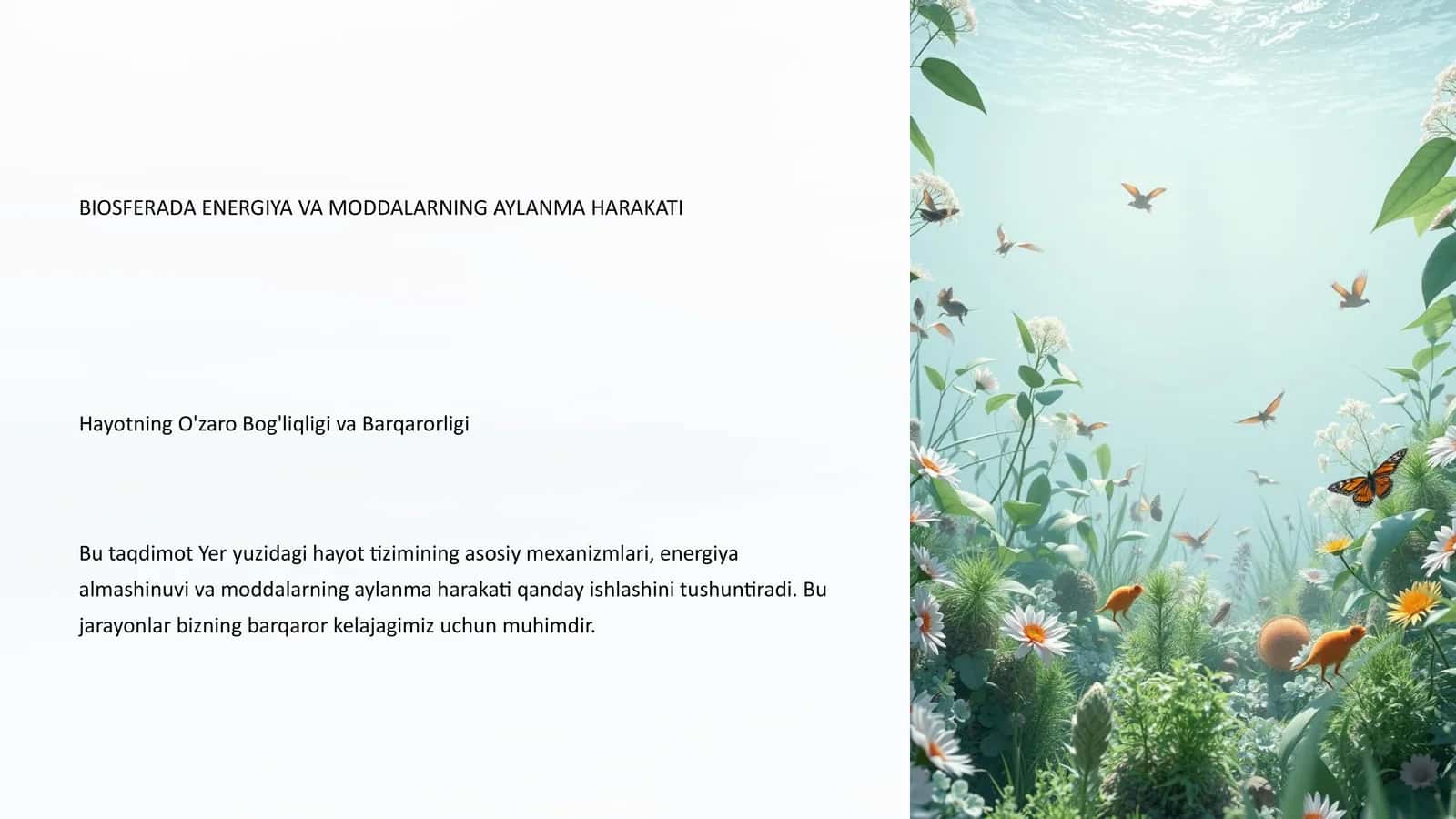 BIOSFERADA ENERGIYA VA MODDALARNING AYLANMA HARAKATI 1