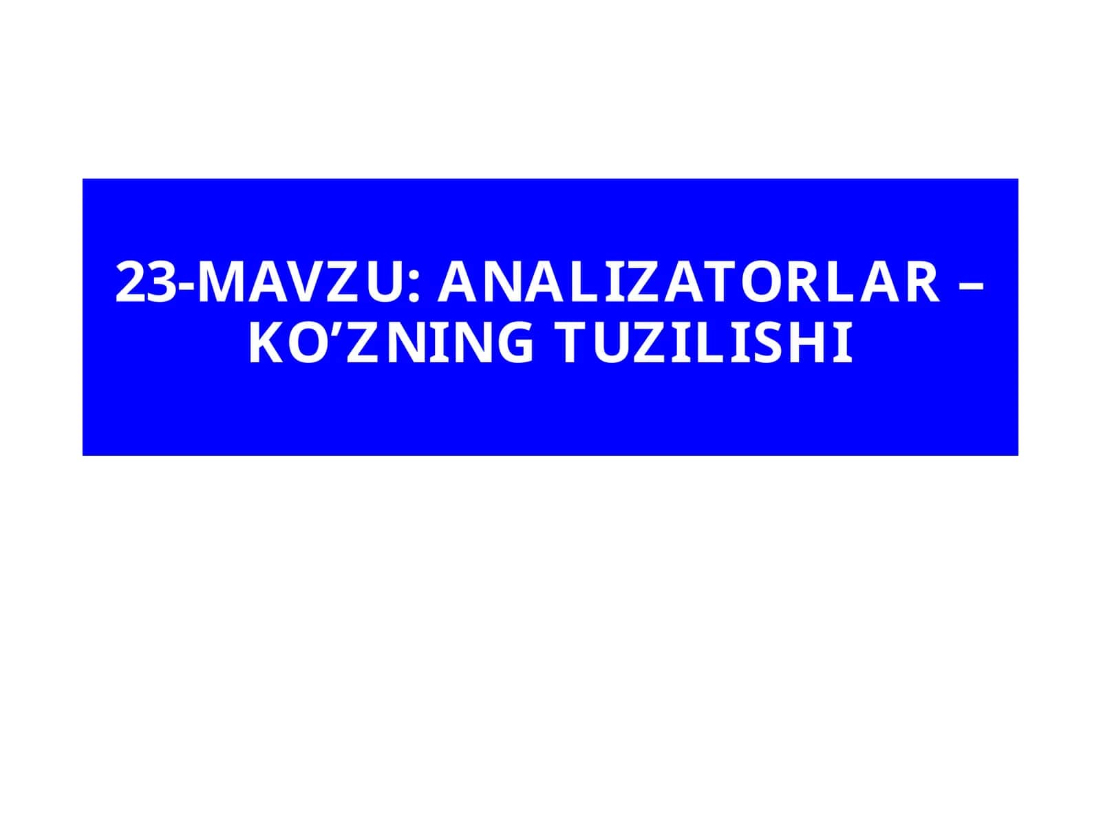 ANALIZATORLAR – KO’ZNING TUZILISHI 1