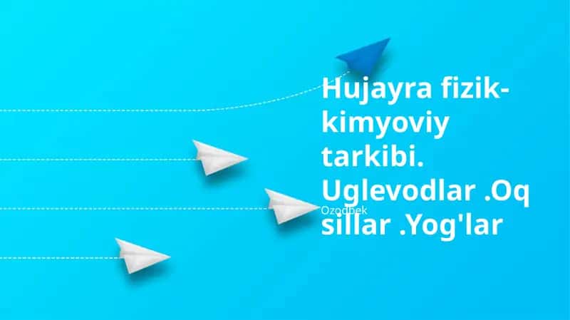 Lipidlar: Yog'lar va Membranalarning Xilma-xil Vazifalari 1