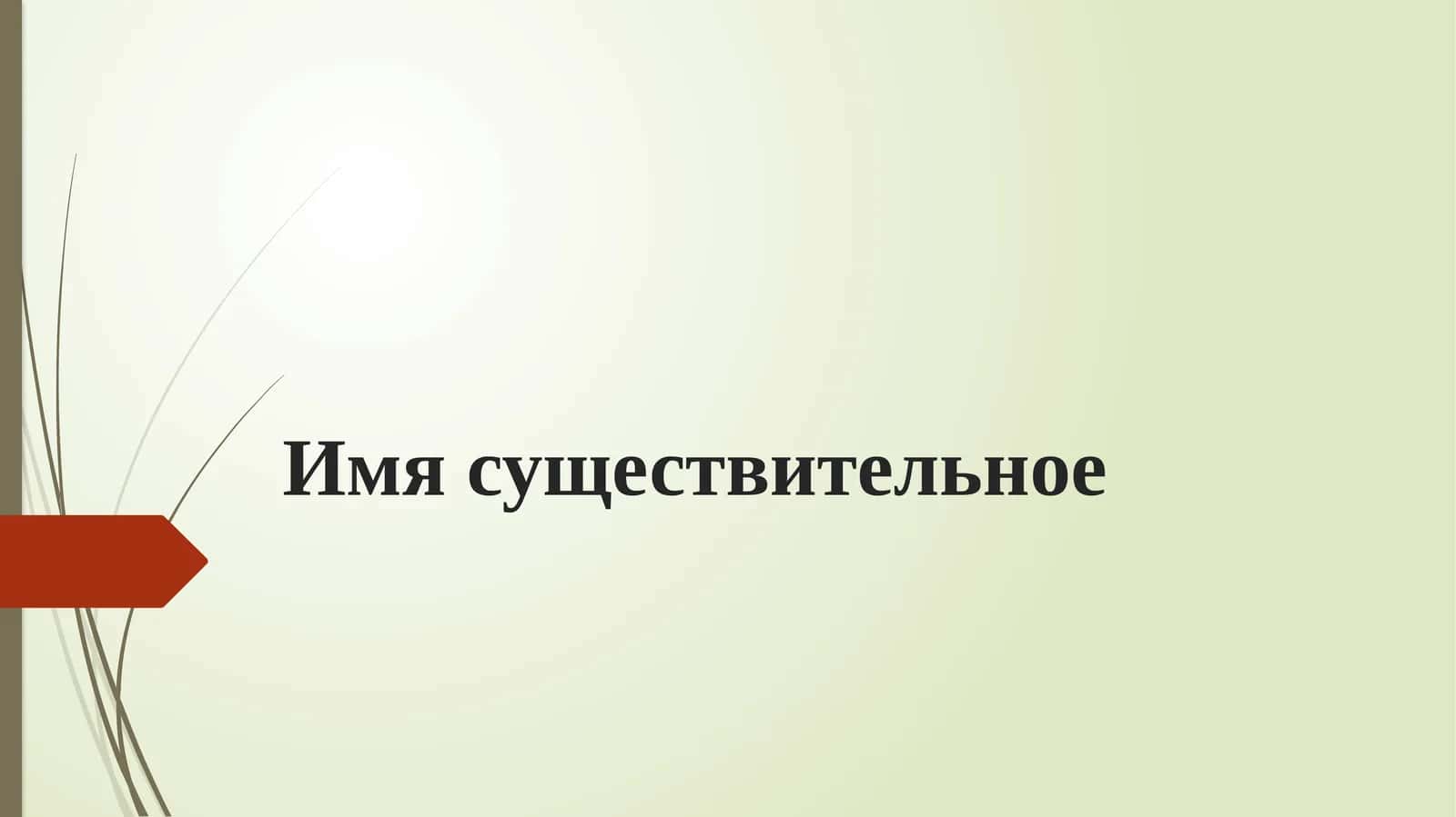 Имя существительное 1
