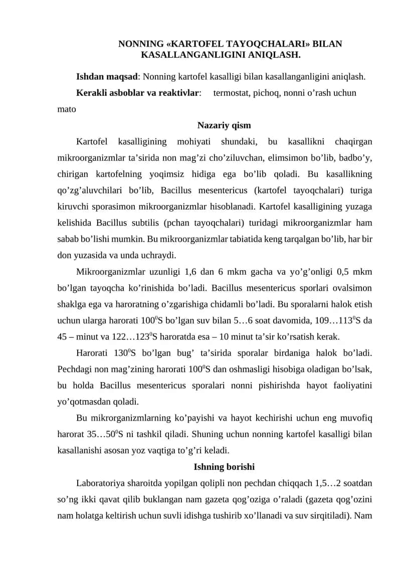 Kartofel Tayoqchalari 1