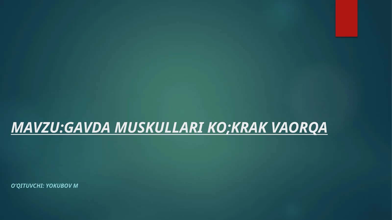 GAVDA MUSKULLARI KO;KRAK VAORQA 1
