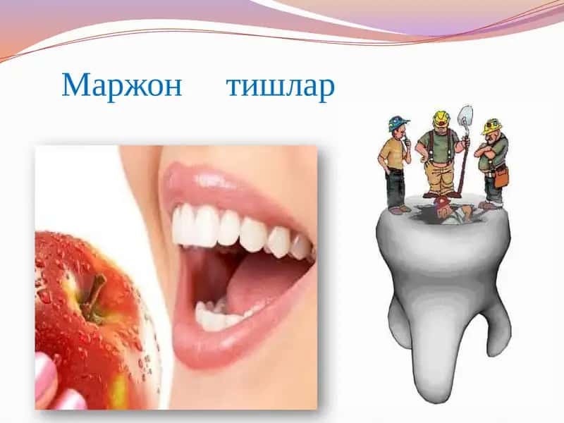 Маржон тишлар 1