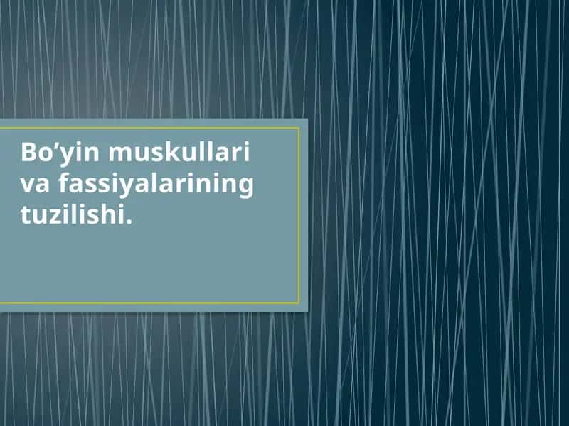 Bo’yin muskul va fassiyalarining tuzilishi 1