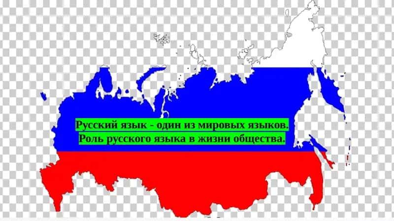 Русский язык - один из мировых языков. Роль русского языка в жизни общества. 1