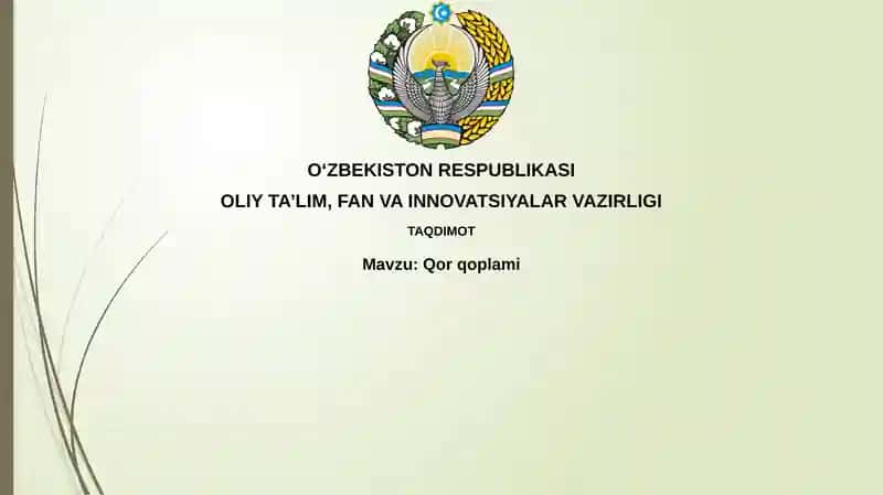 Qor qoplami