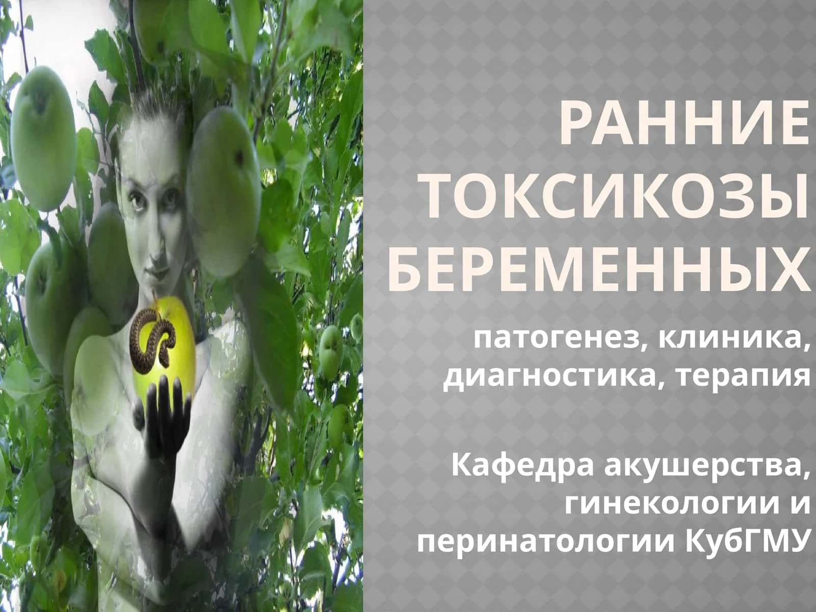 РАННИЕ ТОКСИКОЗЫ БЕРЕМЕННЫХ 1