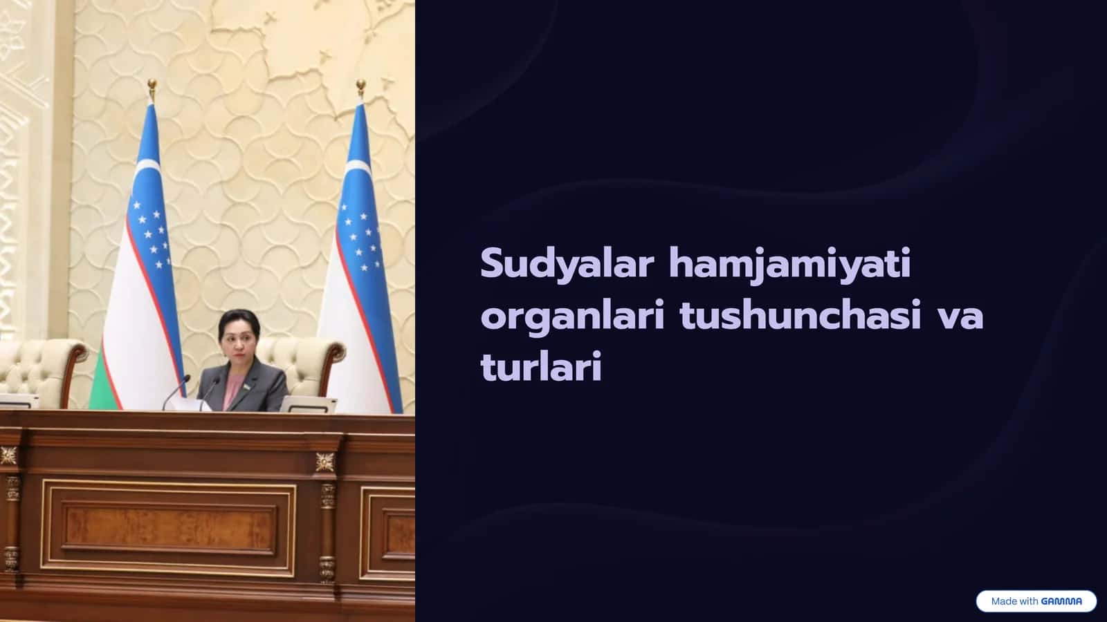 Sudyalar hamjamiyati organlari tushunchasi va turlari 1