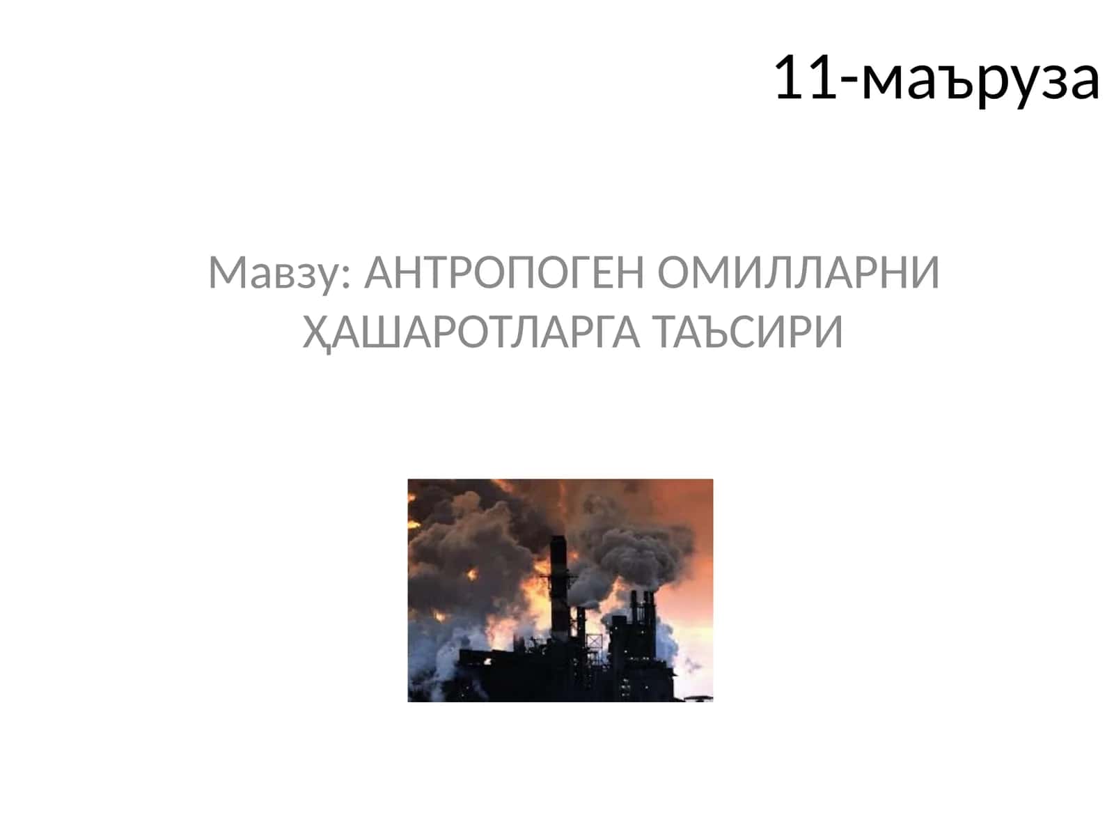 АНТРОПОГЕН ОМИЛЛАРНИ ҲАШАРОТЛАРГА ТАЪСИРИ 1