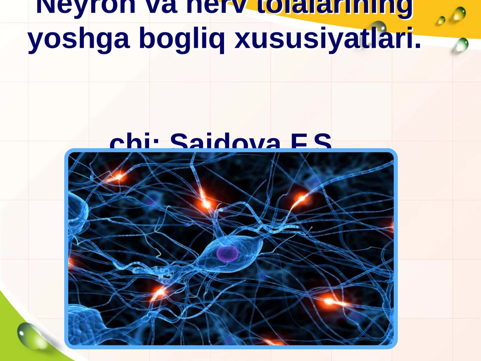Neyron va nerv tolalarining yoshga bogliq xususiyatlari.chi: Saidova F.S 1