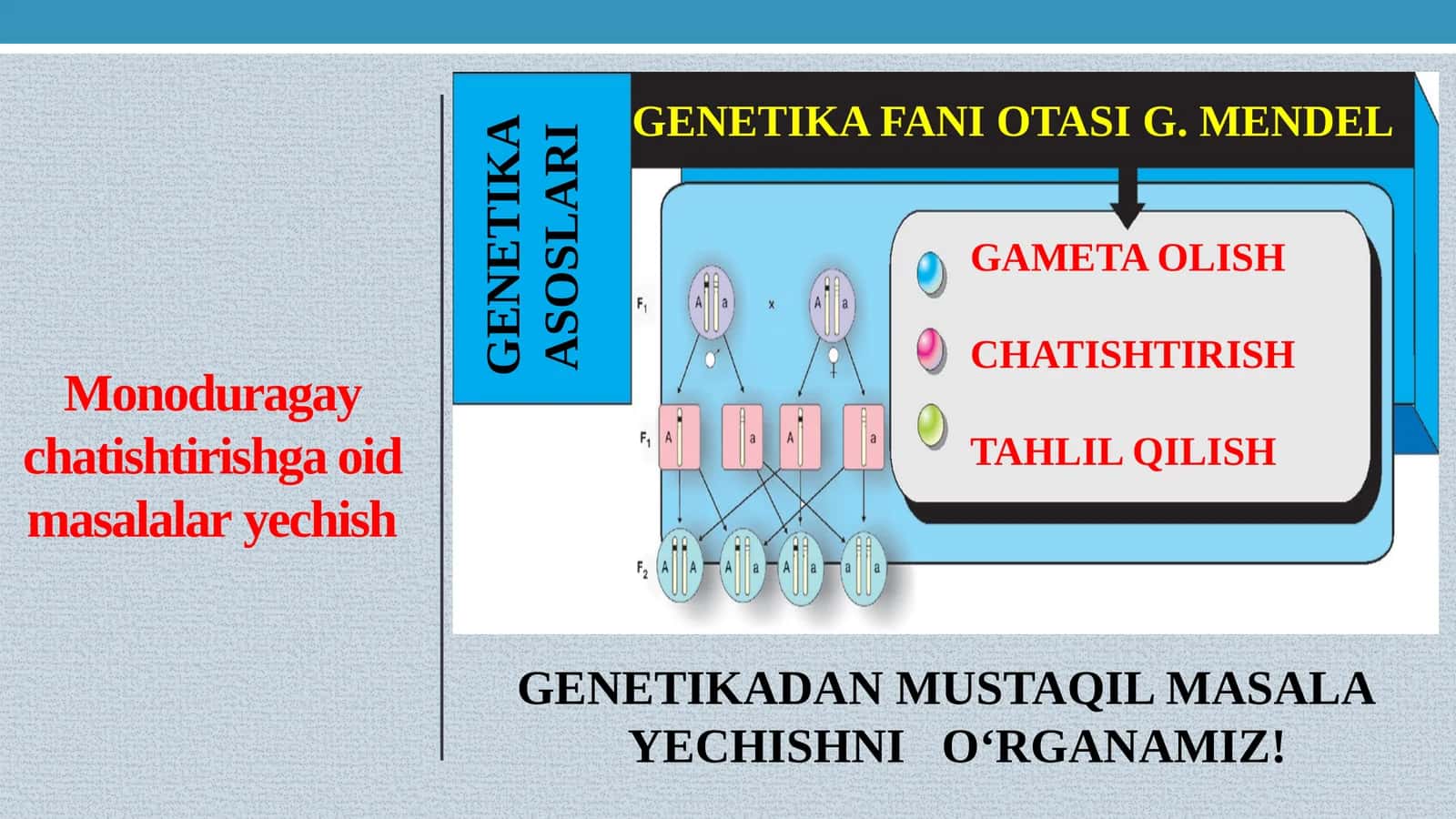 GENETIKADAN MUSTAQILMASALA YECHISHNI O‘RGANAMIZ! 1