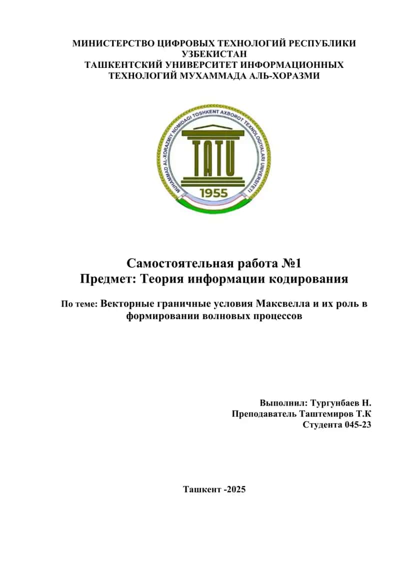 Векторные граничные условия Максвелла и их роль в формировании волновых процессов 1