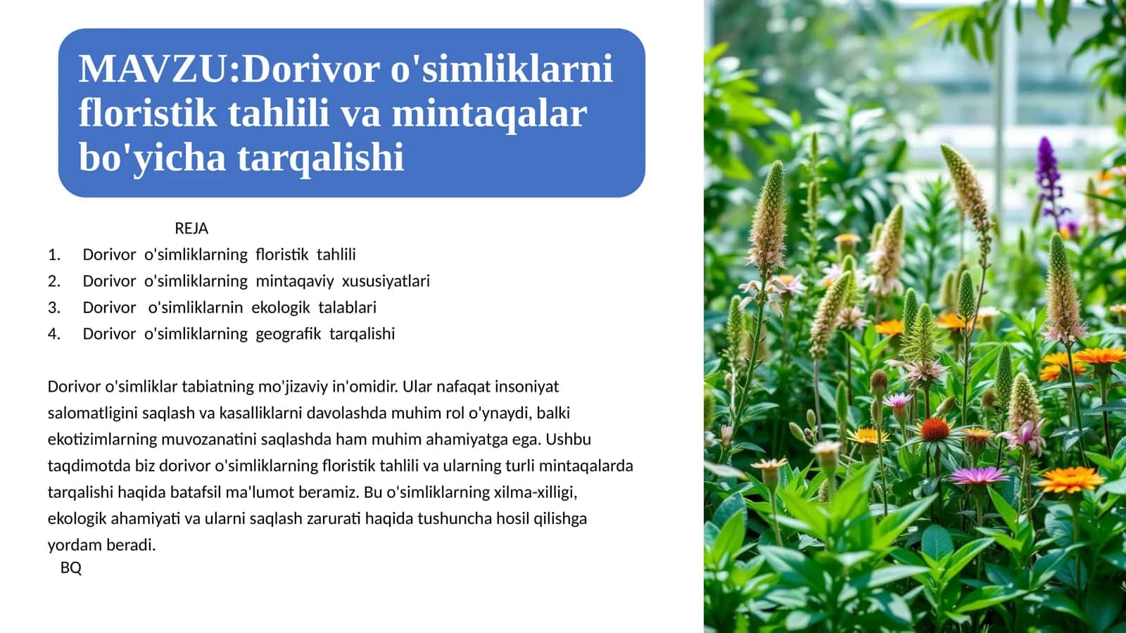 Dorivor o'simliklarning floristik tahlili 1