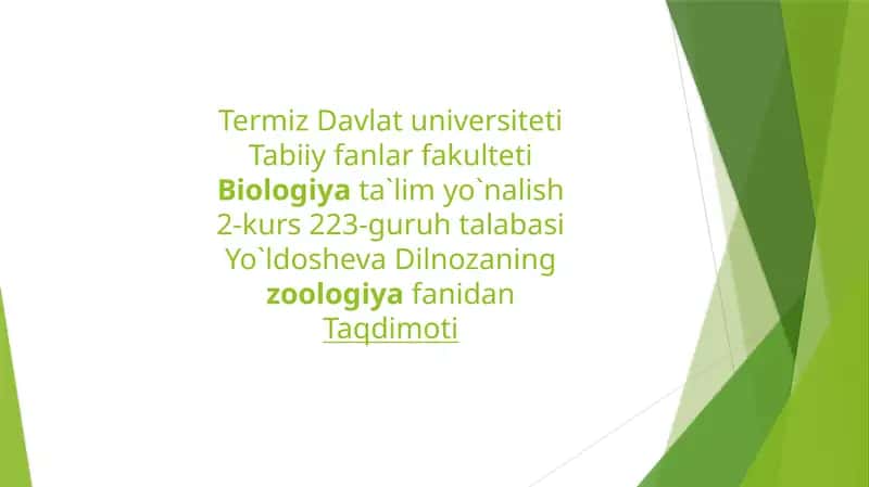Bosh oyoqlilar nafas olishi va qon aylanish sistemasi 1