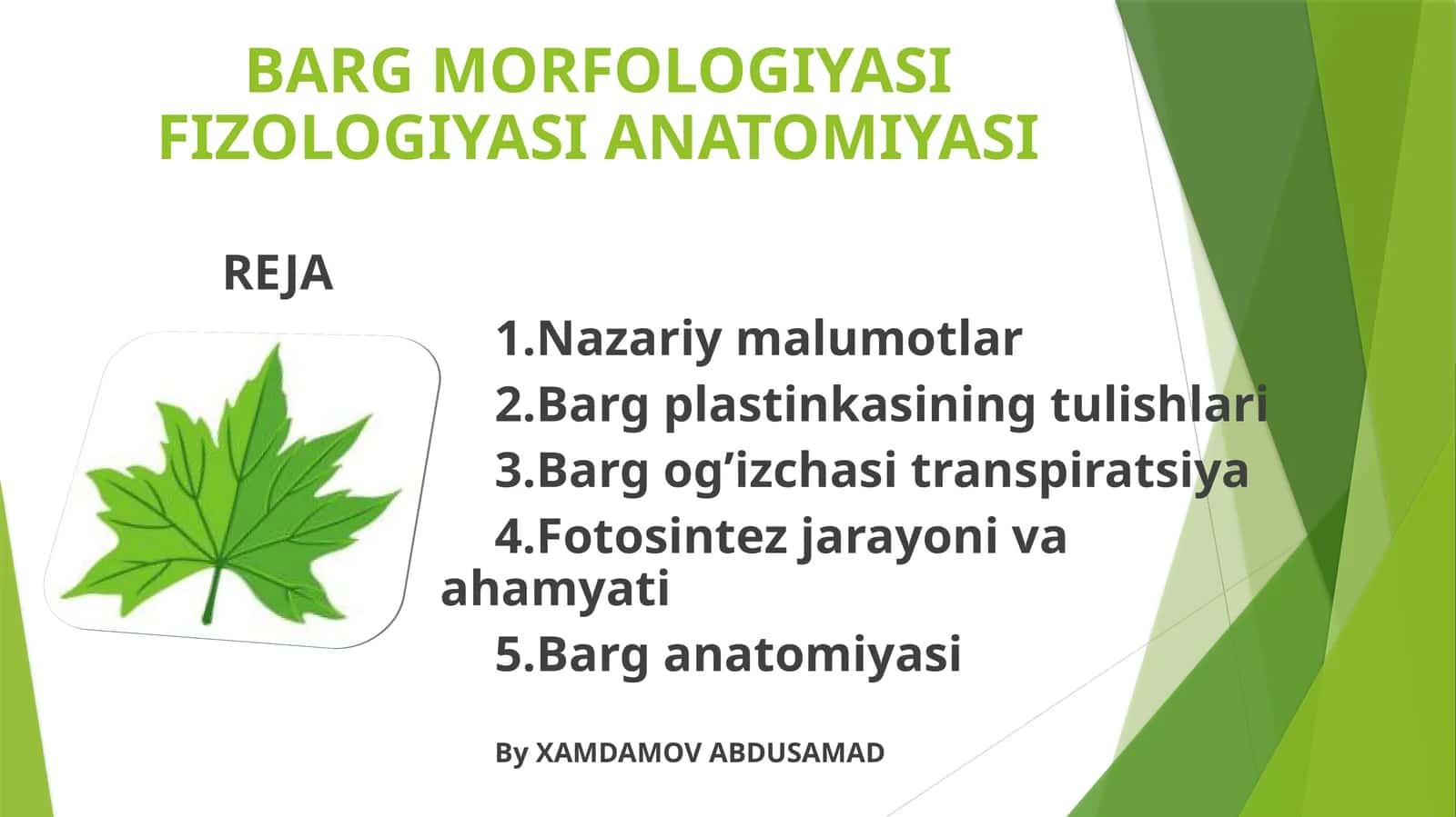 BARG MORFOLOGIYASI FIZOLOGIYASI ANATOMIYASI 1