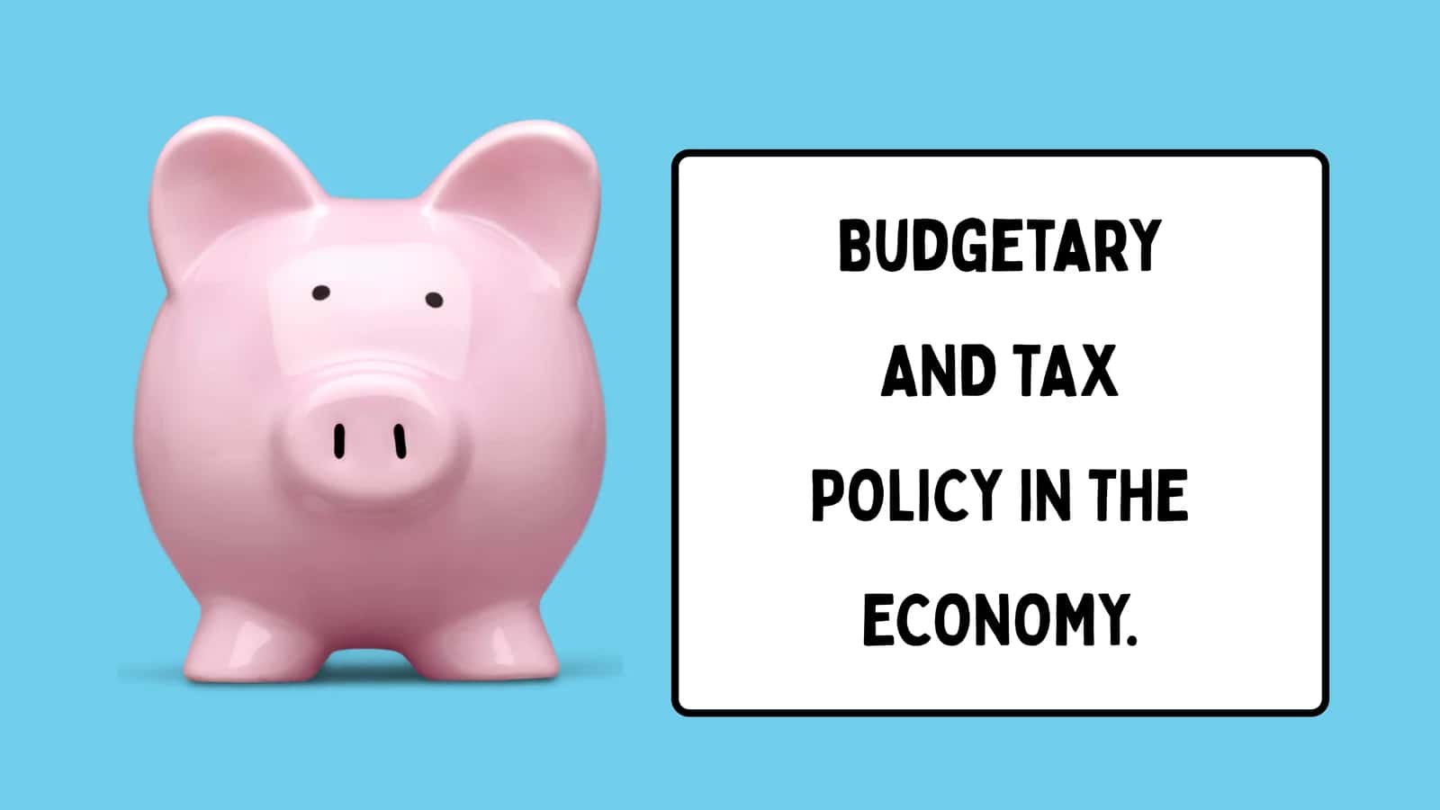 Budgetary AND TAX POLICY IN THE ECONOMY 1