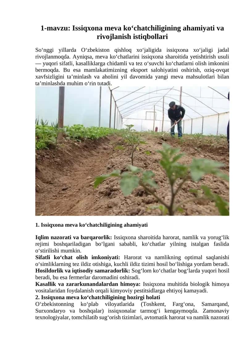 Issiqxona meva ko‘chatchiligining ahamiyati va rivojlanish istiqbollari 1