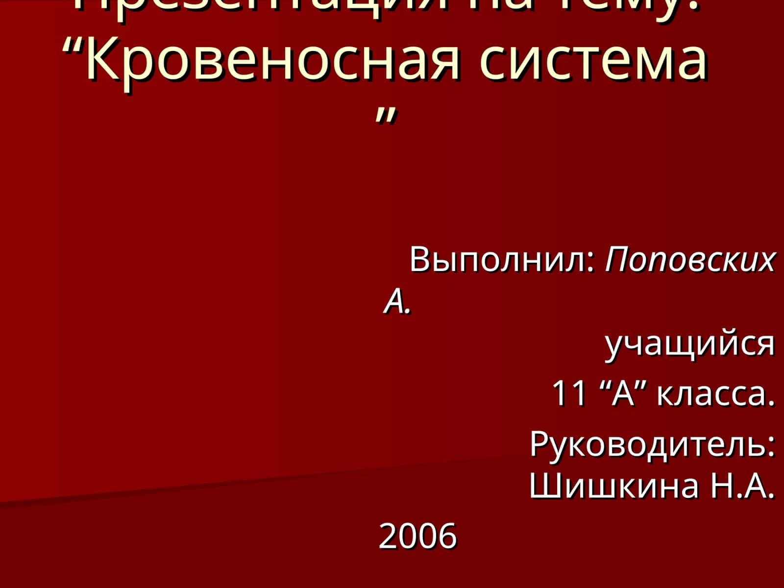 Кровеносная система 1